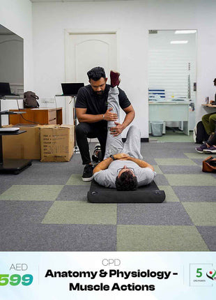 Anatomy & Physiology - Muscle Actions: 5 CPD Points