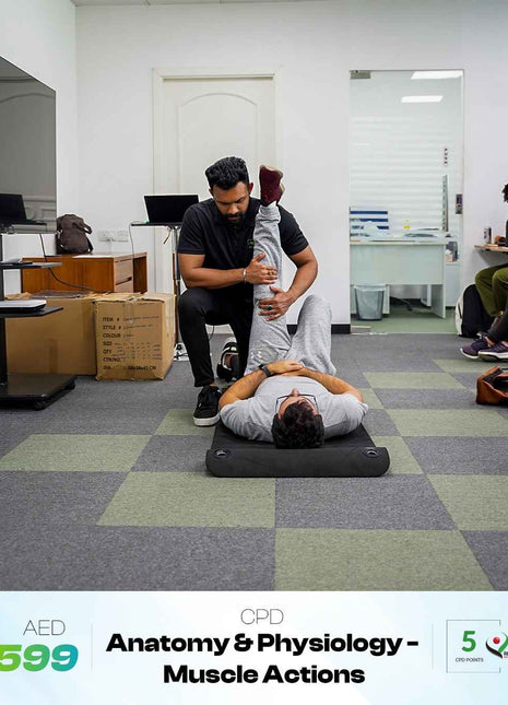 Anatomy & Physiology - Muscle Actions: 5 CPD Points